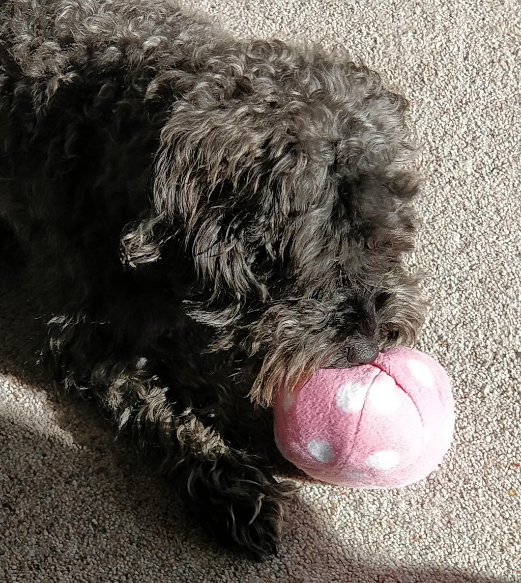 Dog Snuffle Ball, Fleece toy, finding treats puzzle, sheepskin stuffed toy