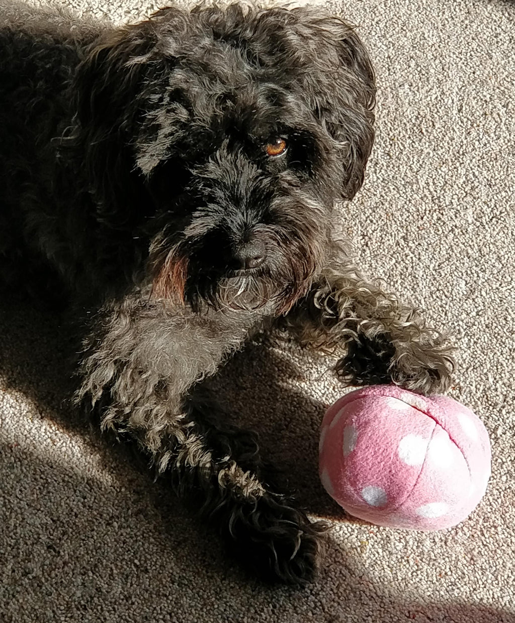 Dog Snuffle Ball, Fleece toy, finding treats puzzle, sheepskin stuffed toy