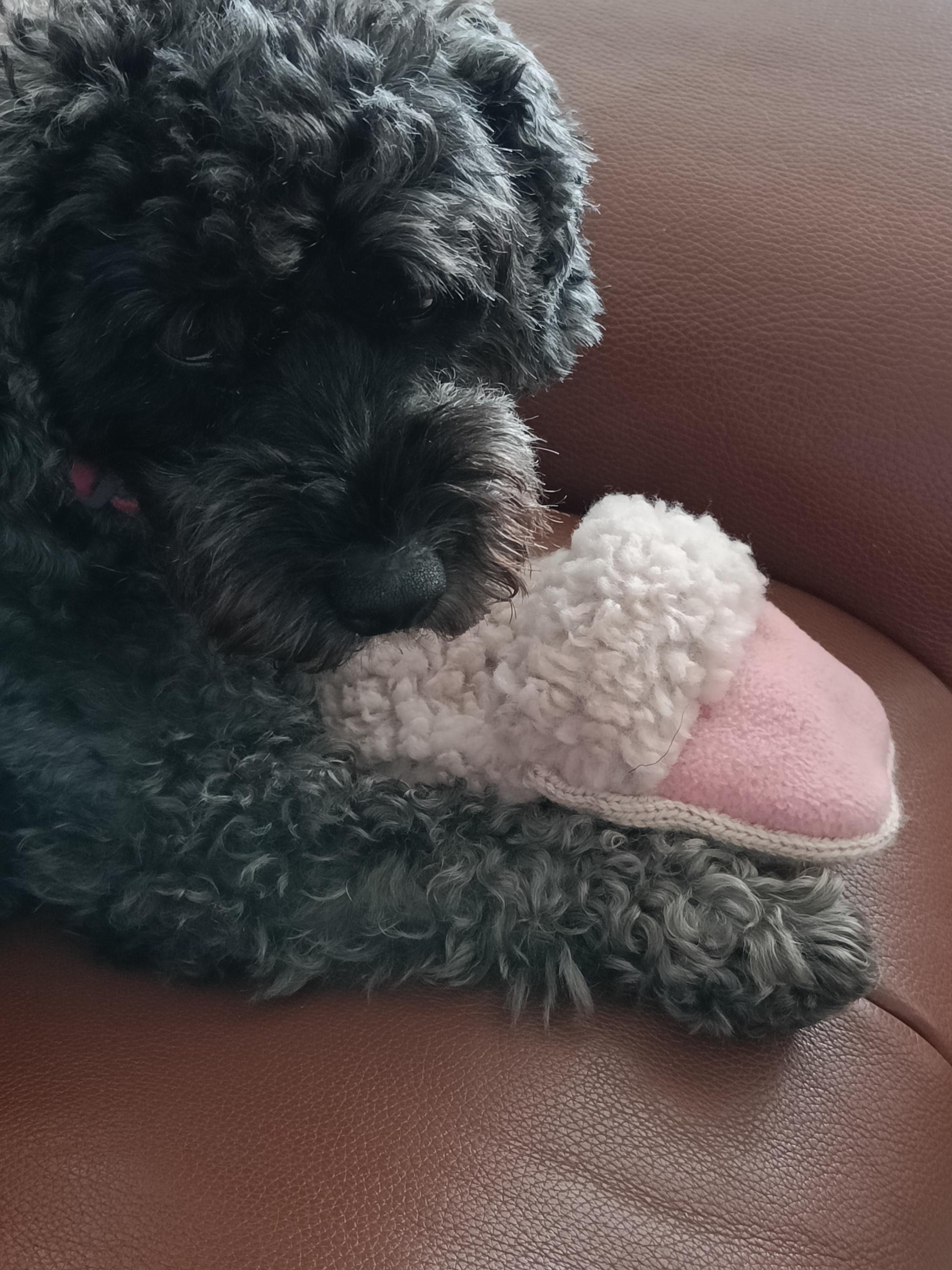 Small dogs slipper toy, faux fur and fleece comforter, crunchy crackling dog toy
