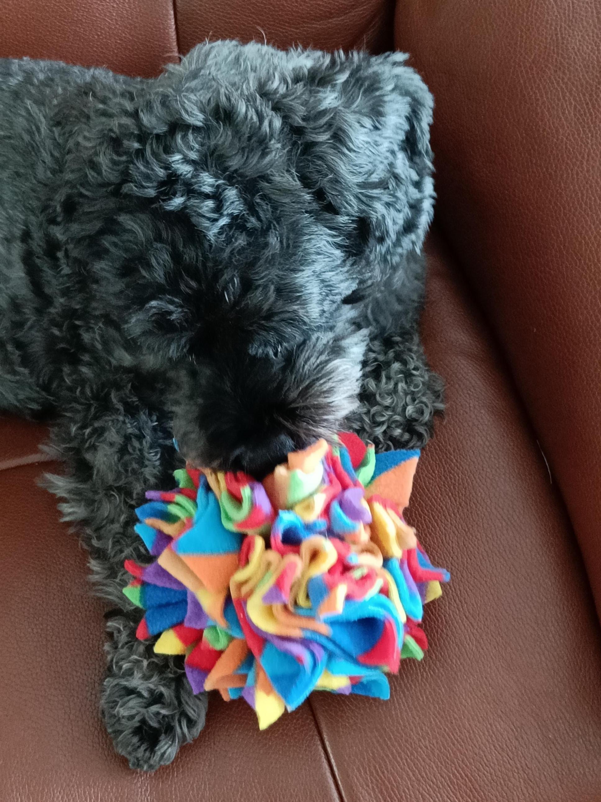 Dog snuffle ball in star shape, fleece pet toy, treat dispenser, finding food game