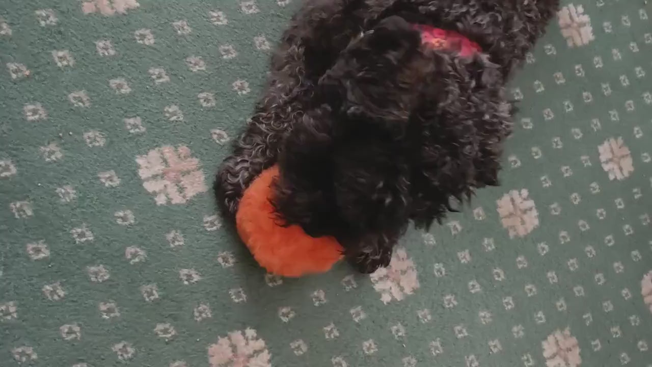 Merino Sheepskin Dog Ball: Natural pet toy, Baseball Pattern, Training reward toy for puppy