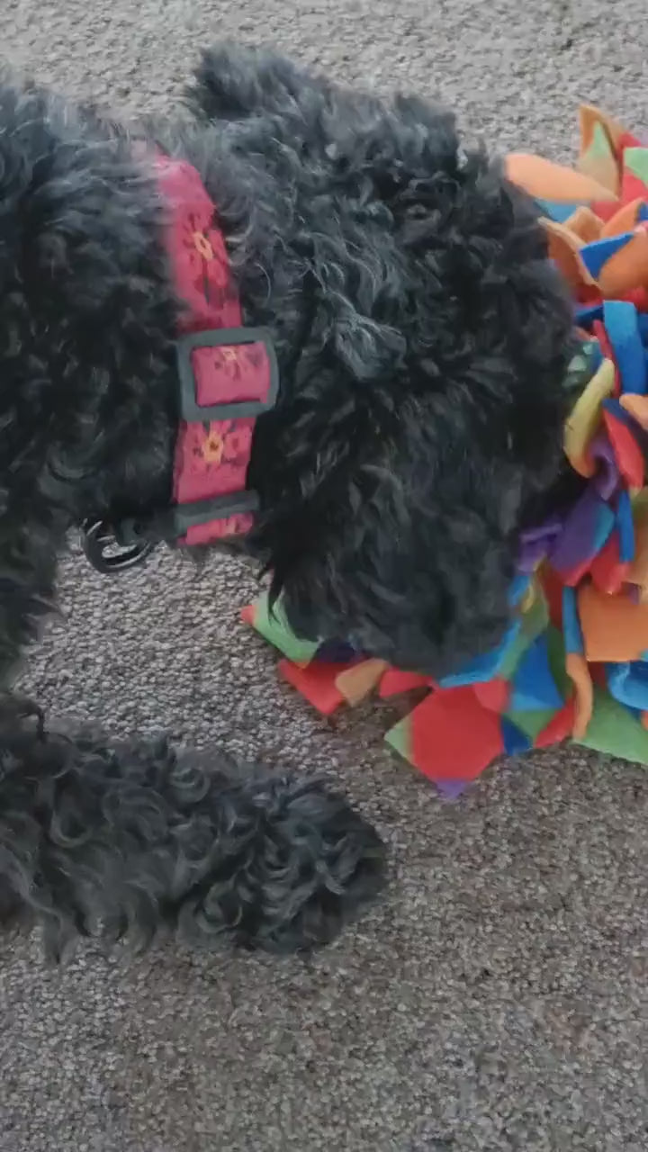 Fleece Snuffle Mat, small pets gift, foraging for food, treat dispenser, finding food