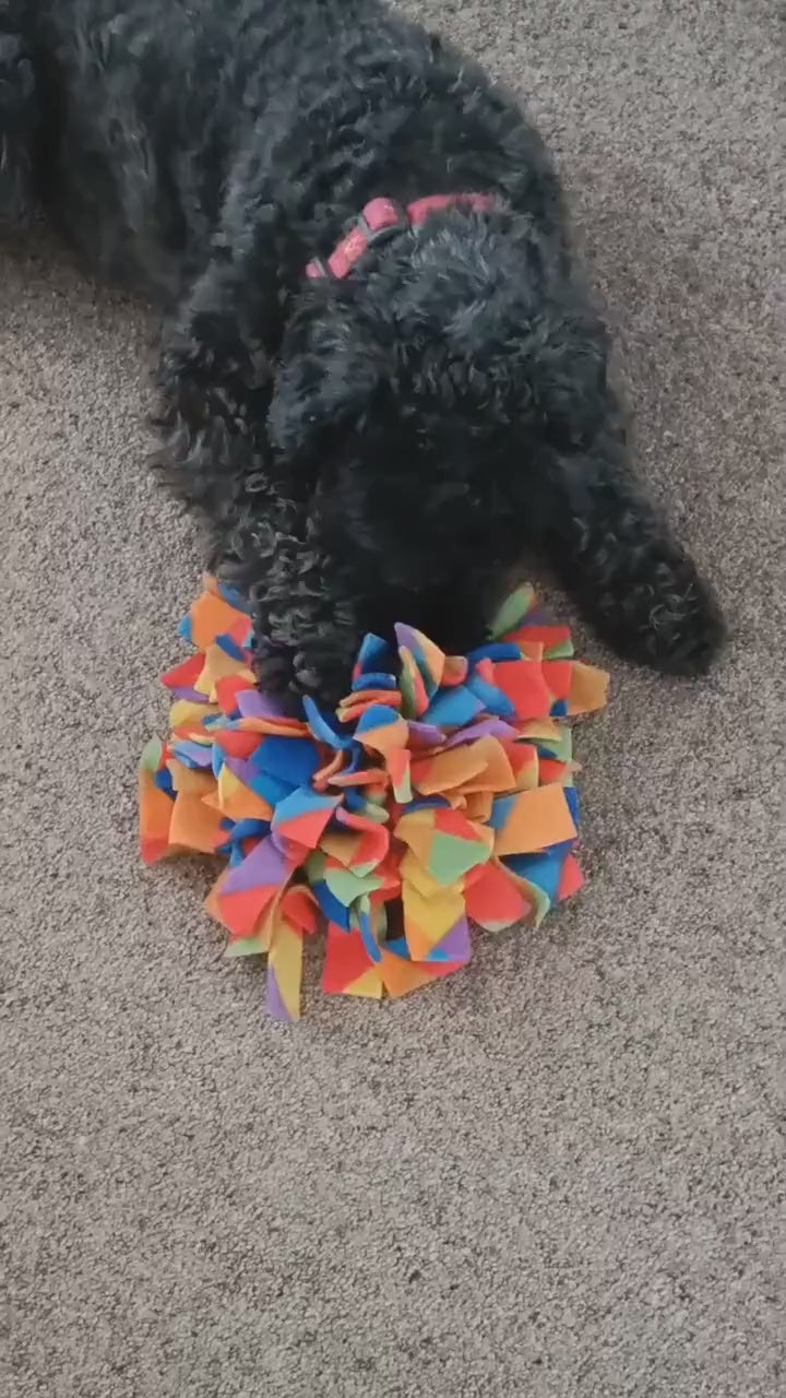 Snuffle mat for small pet, treat dispenser, foraging, sniffing, finding snacks, dog toy